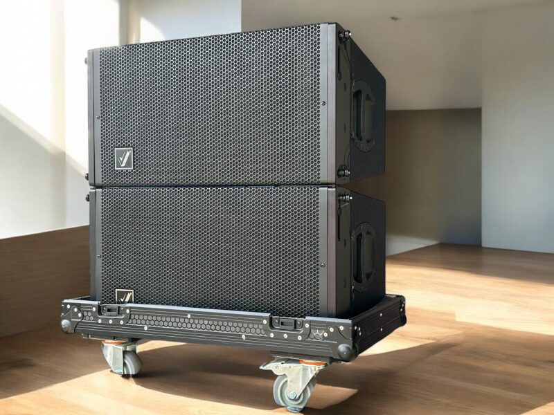 Loa line array P1202