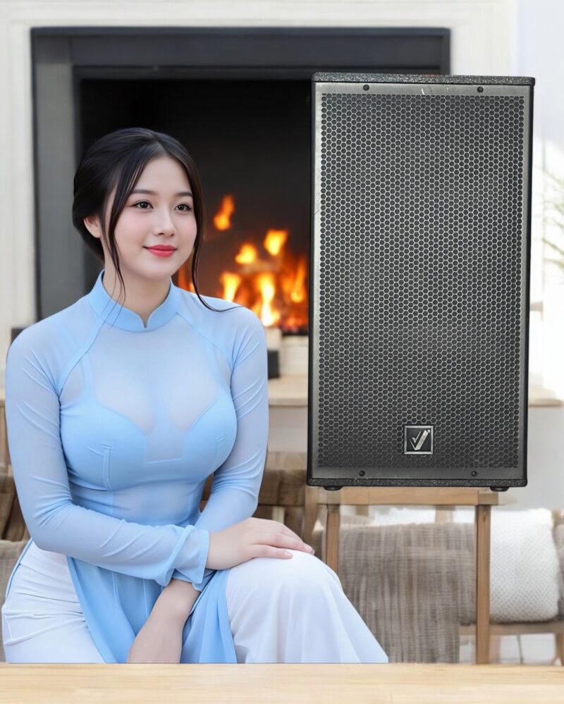 Horn speaker - Loa Phi Thuyền V-24P